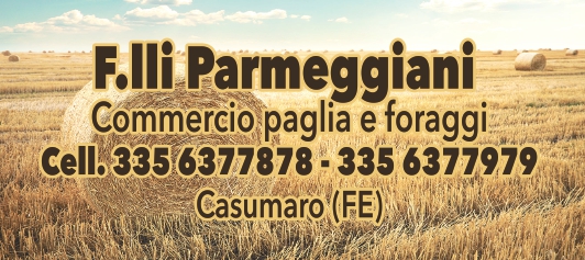 Parmeggiani